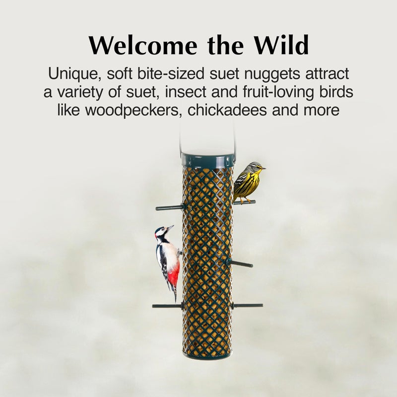 CS C&S Sunflower Suet Nuggets, Wild Birds Food For Woodpeckers, Chickadees, Nuthatches, and More, 8 Pounds - Image 3